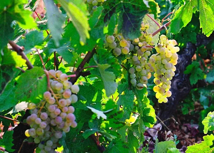 Διαμέρισμα Polytropon *